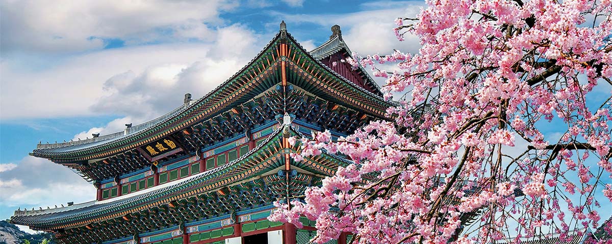 Study in South Korea from Nepal